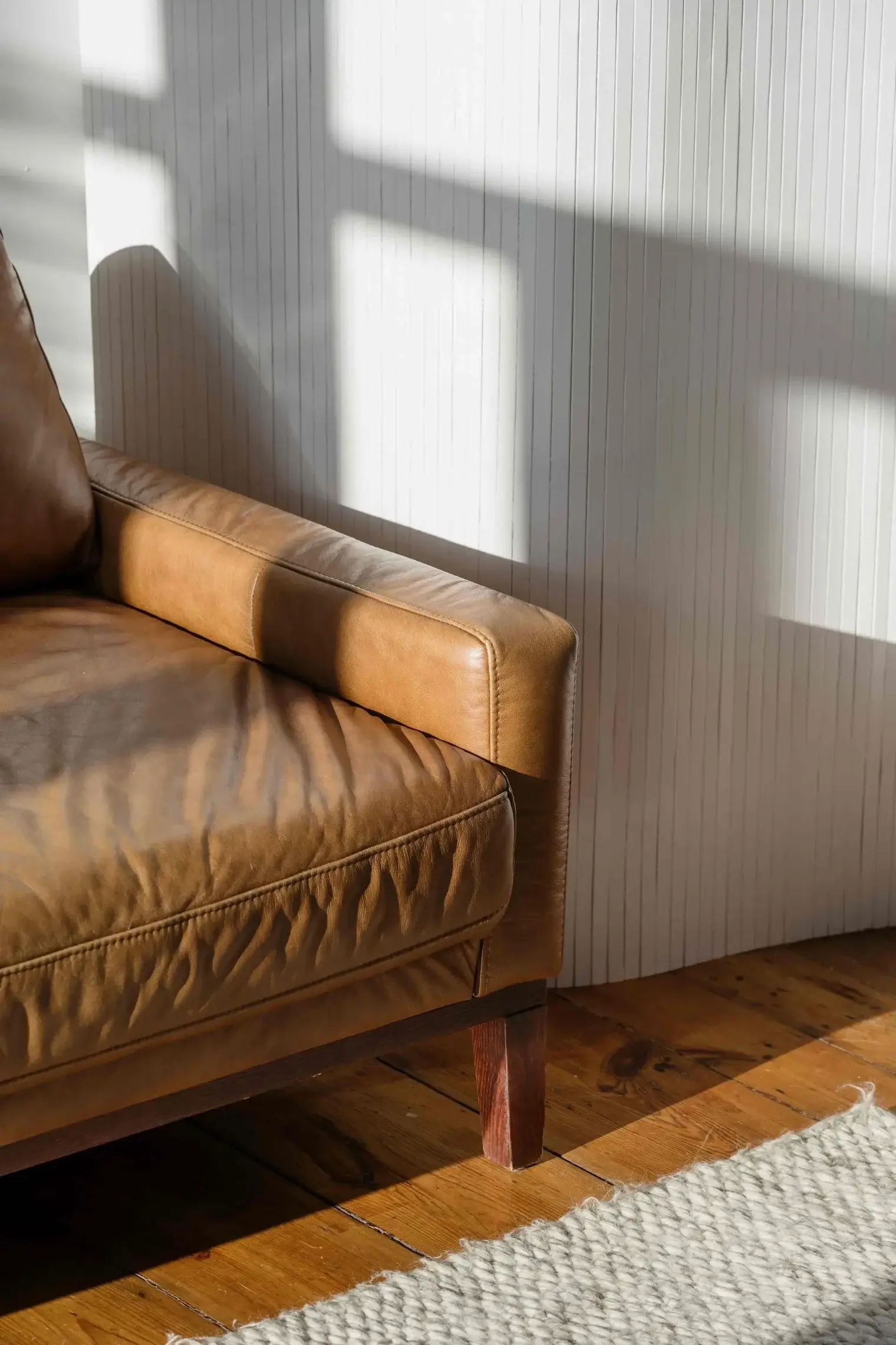 Evado Asheville apartment living room with natural light in Fletcher, NC